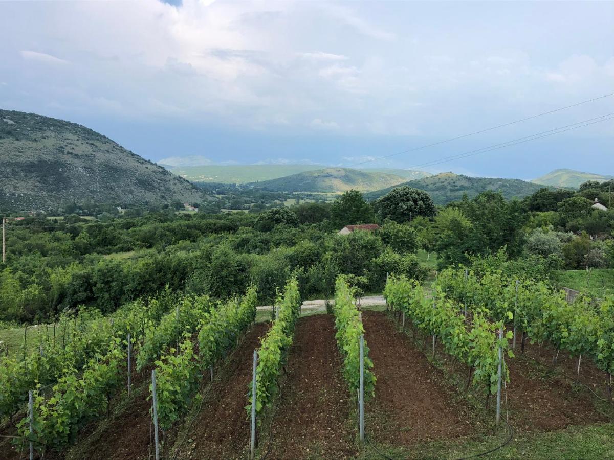 Green Silence - Iva Danilovgrad Exterior photo